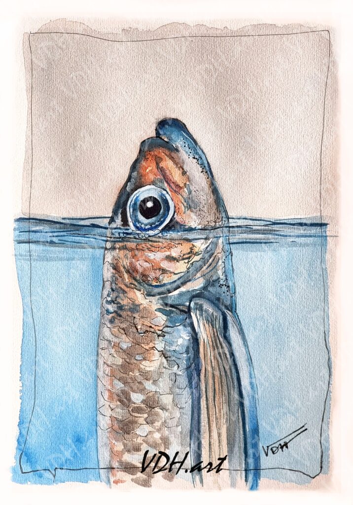 Aquarelle, Poisson sous l'eau